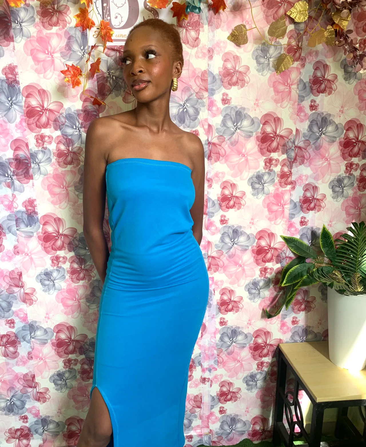 Claudia dress